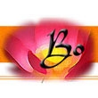 Logo or picture for Bo de Duyen
