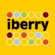 Logo or picture for Iberry